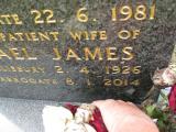 image of grave number 911748
